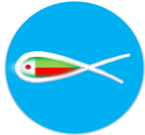 Nom De L'entreprise